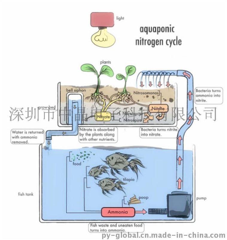 智能无线鱼菜共生解决方案